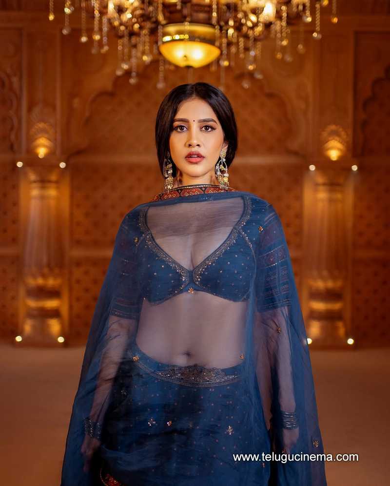 nabha stills 25032502