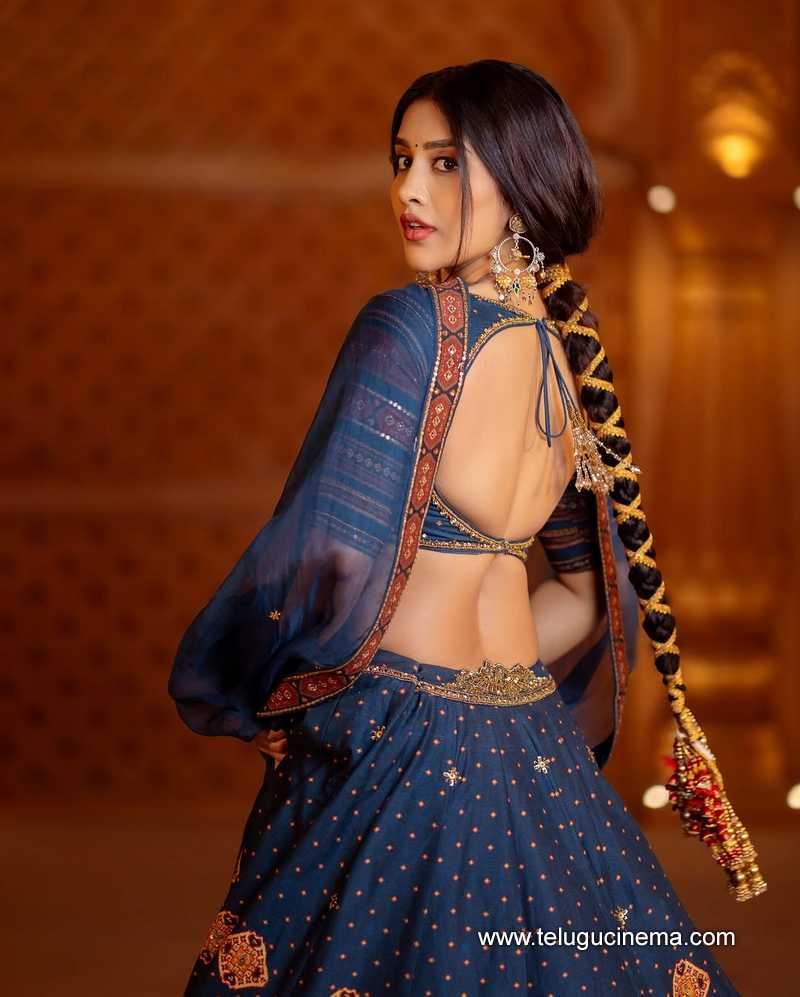 nabha stills 25032506