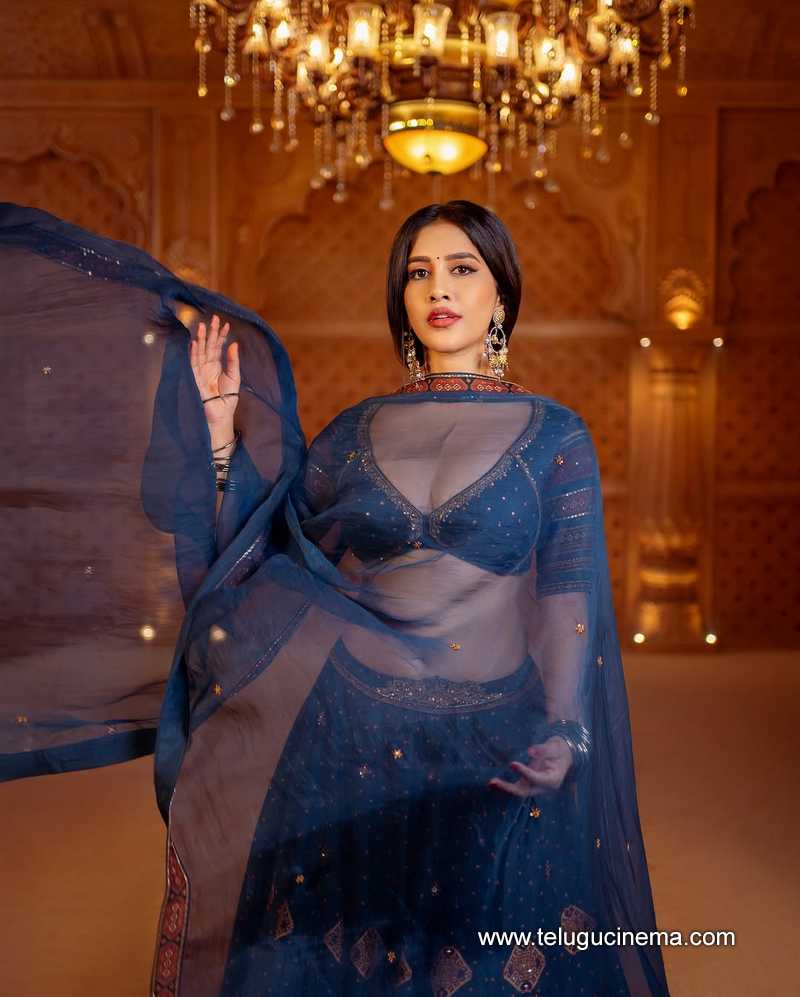 nabha stills 25032507