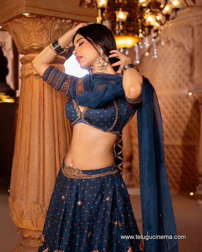 nabha stills 25032508