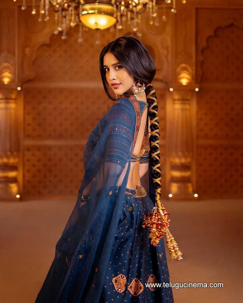 nabha stills 25032509
