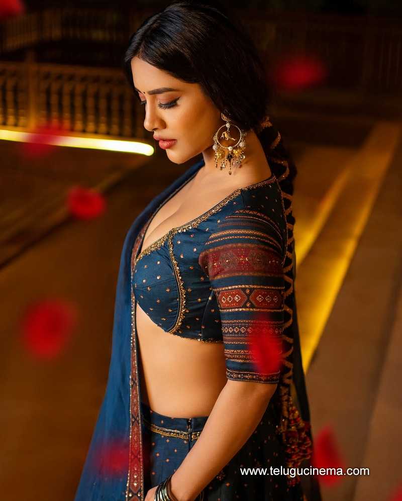 nabha stills 25032511