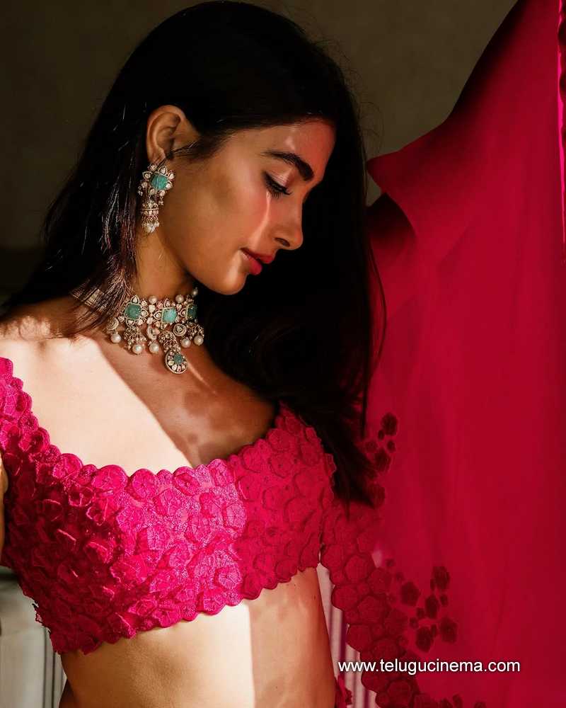 pooja stills 15032502