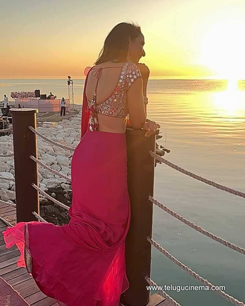 pragya stills 12032504