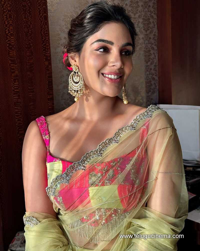 samyuktha stills 14032504