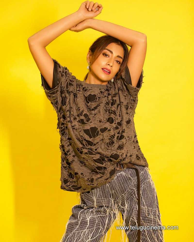 shriya stills 29032503