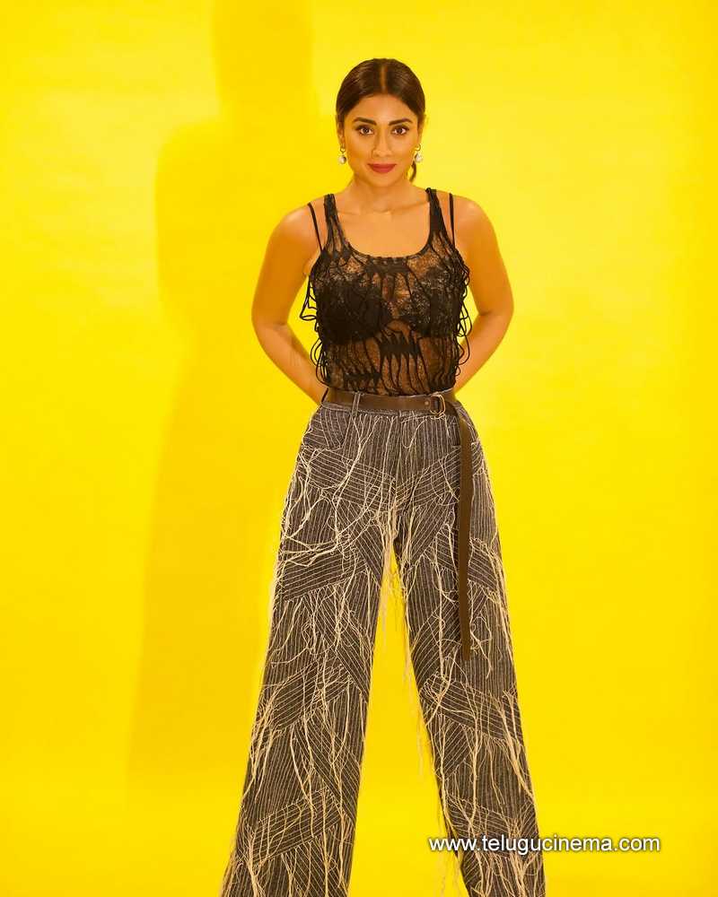 shriya stills 29032505