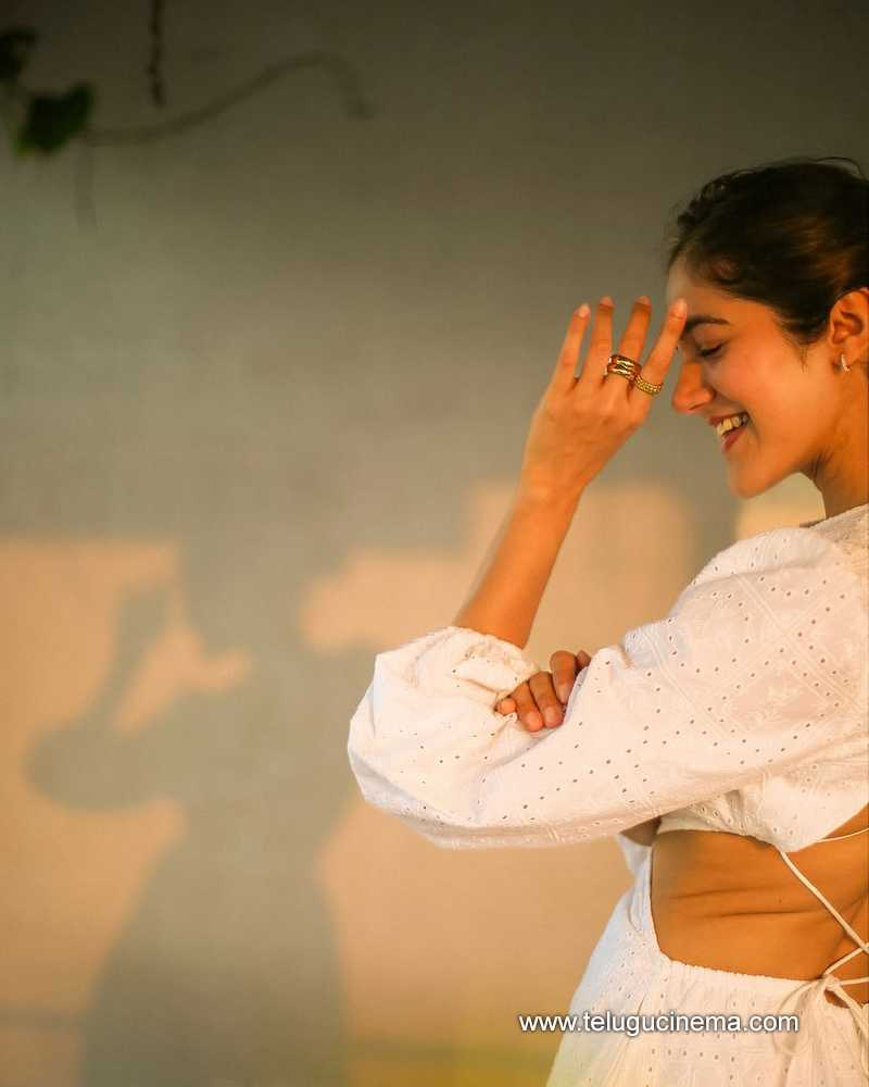 simran stills 26032505