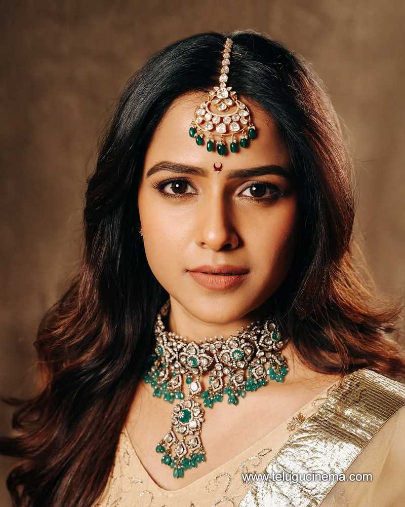 vaishnavi stills 29032507