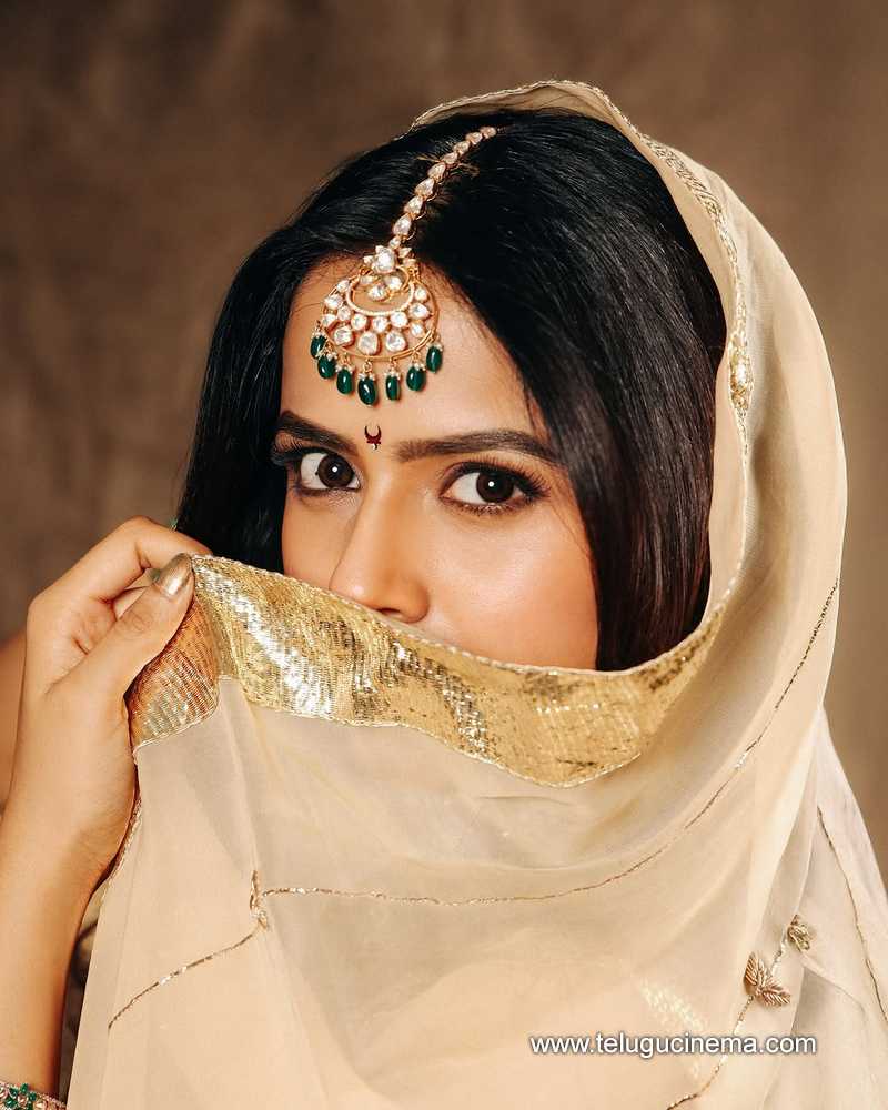 vaishnavi stills 29032509