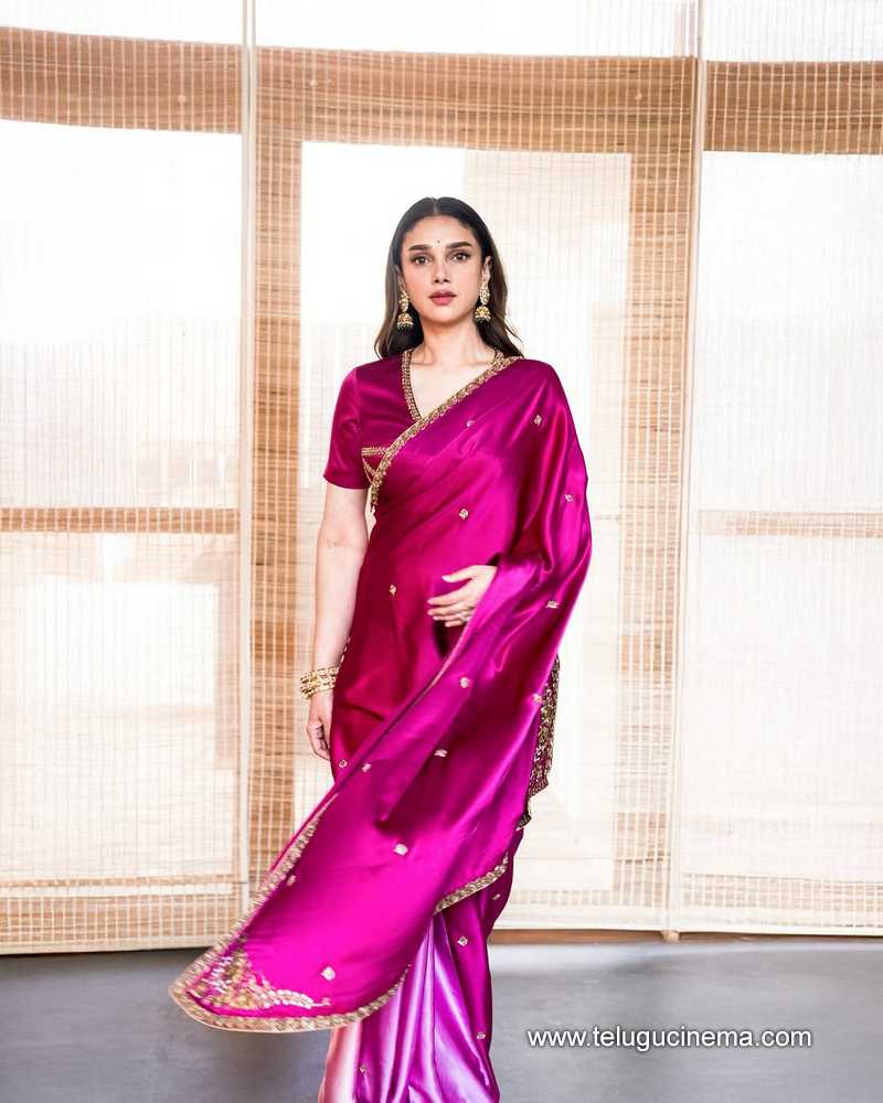 aditi stills 07042503