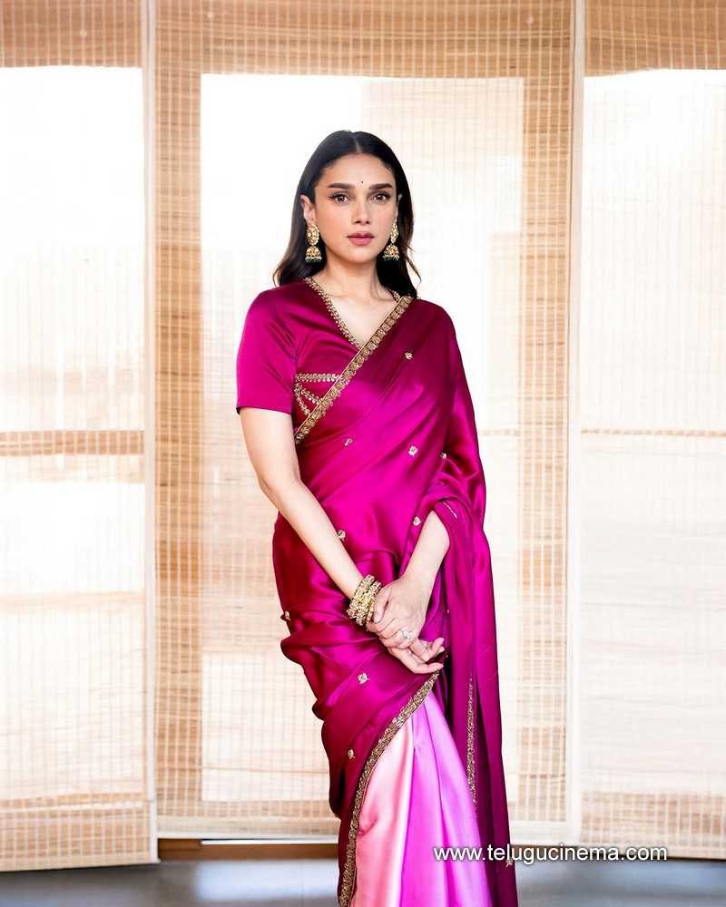 aditi stills 07042505