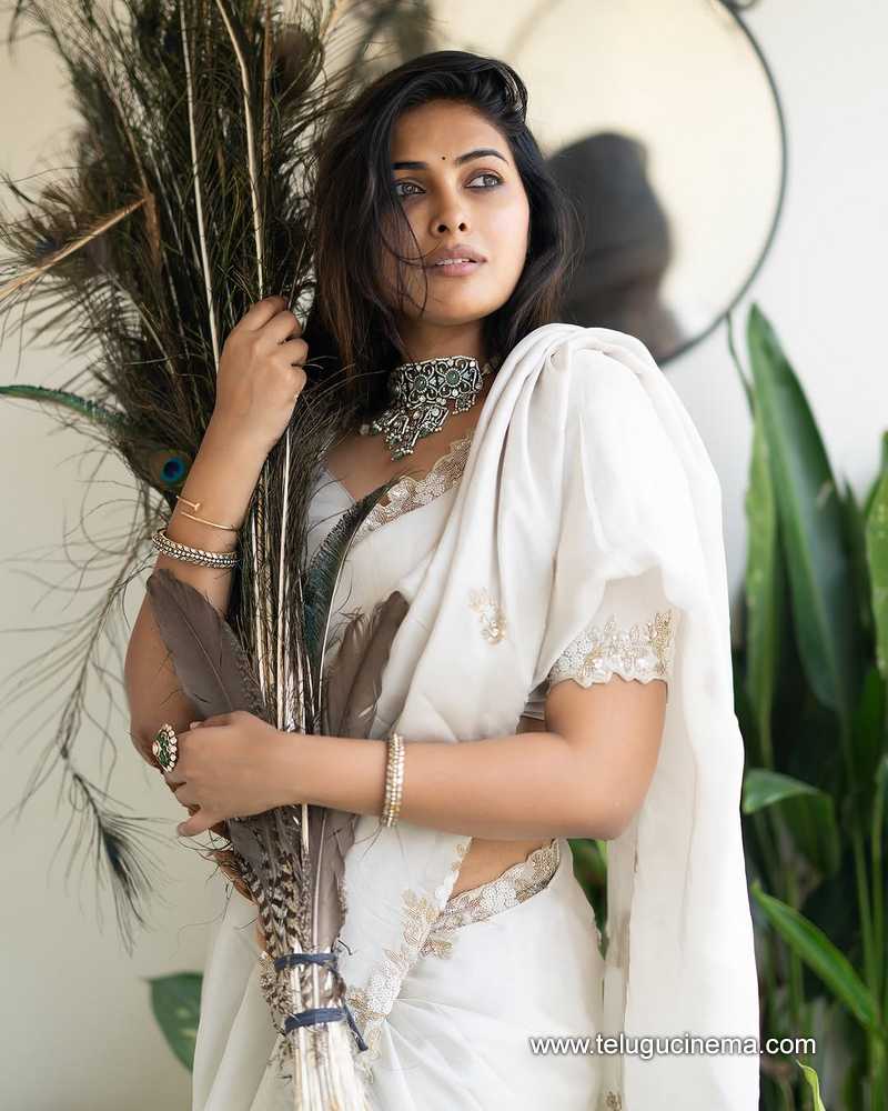 divi stills 01042502