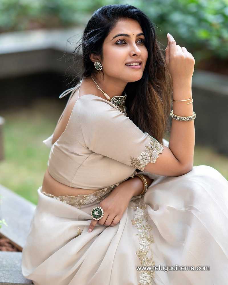 divi stills 01042503
