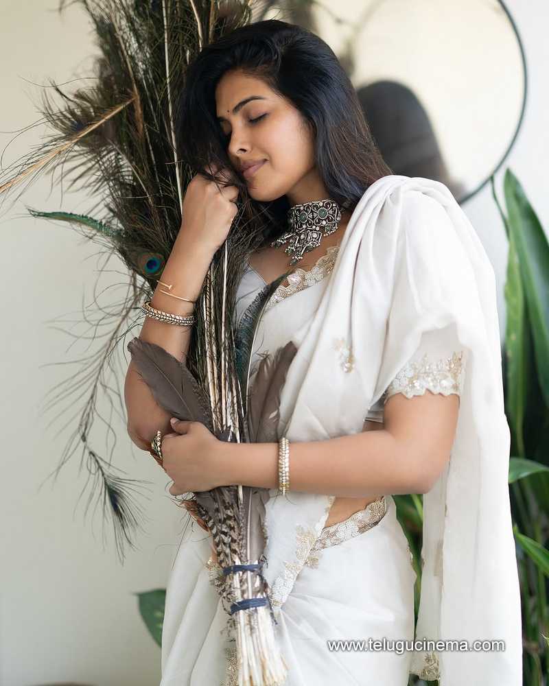 divi stills 01042504