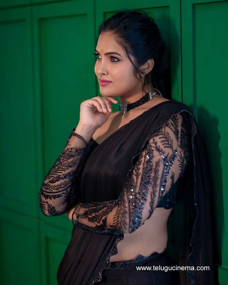 divi stills 18042502
