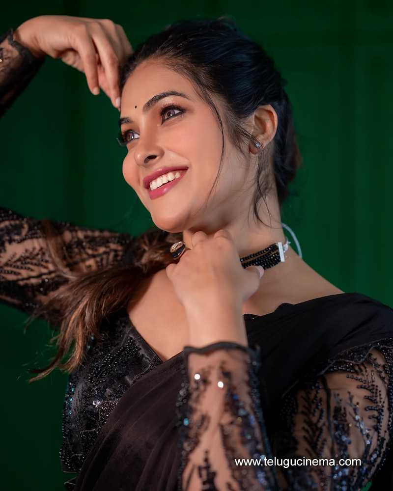 divi stills 18042503