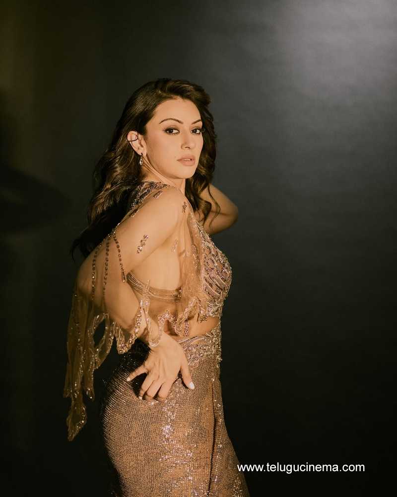 hansika stills 26042506