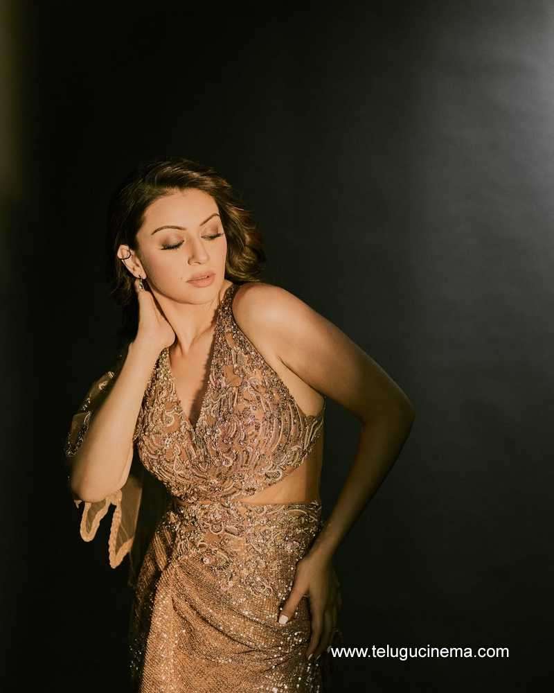 hansika stills 26042507