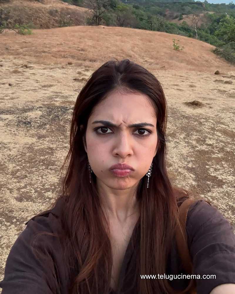 malavika stills 22042502