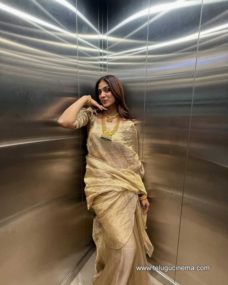 malavika stills 22042504
