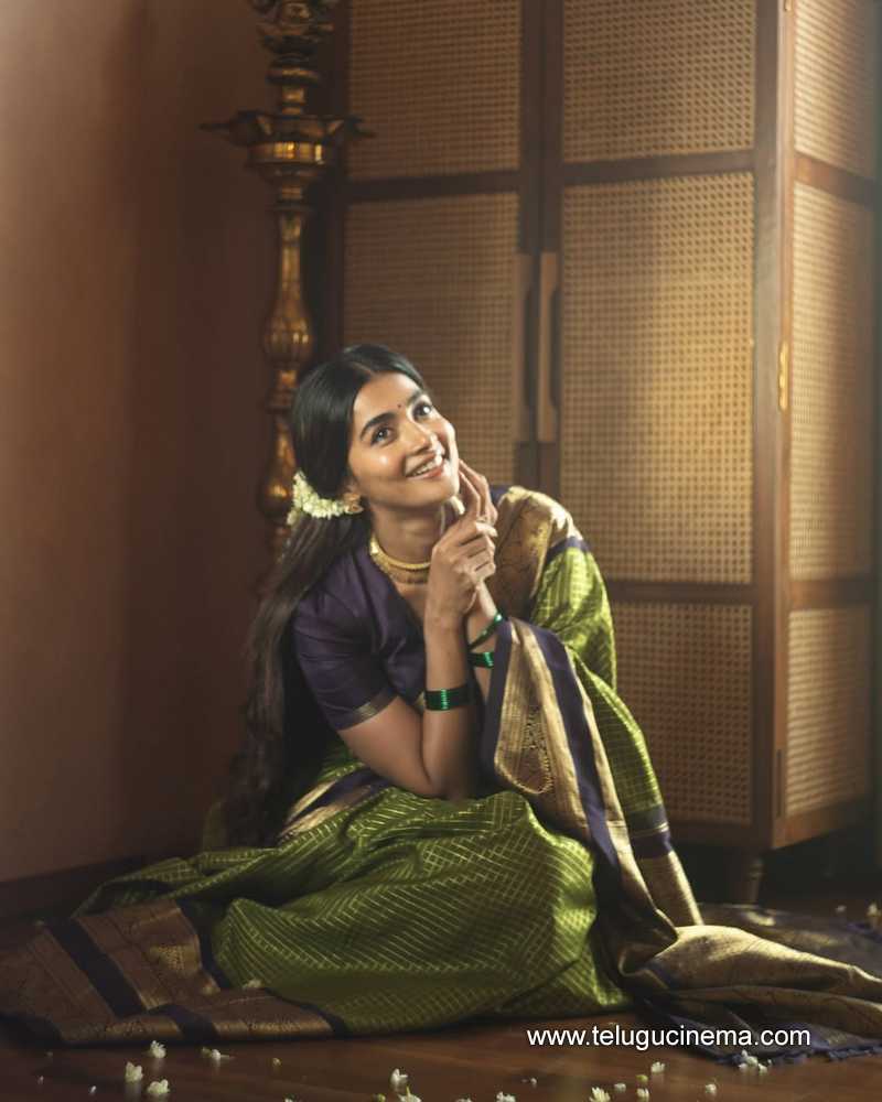 pooja stills 28042504