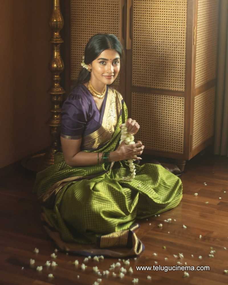 pooja stills 28042505