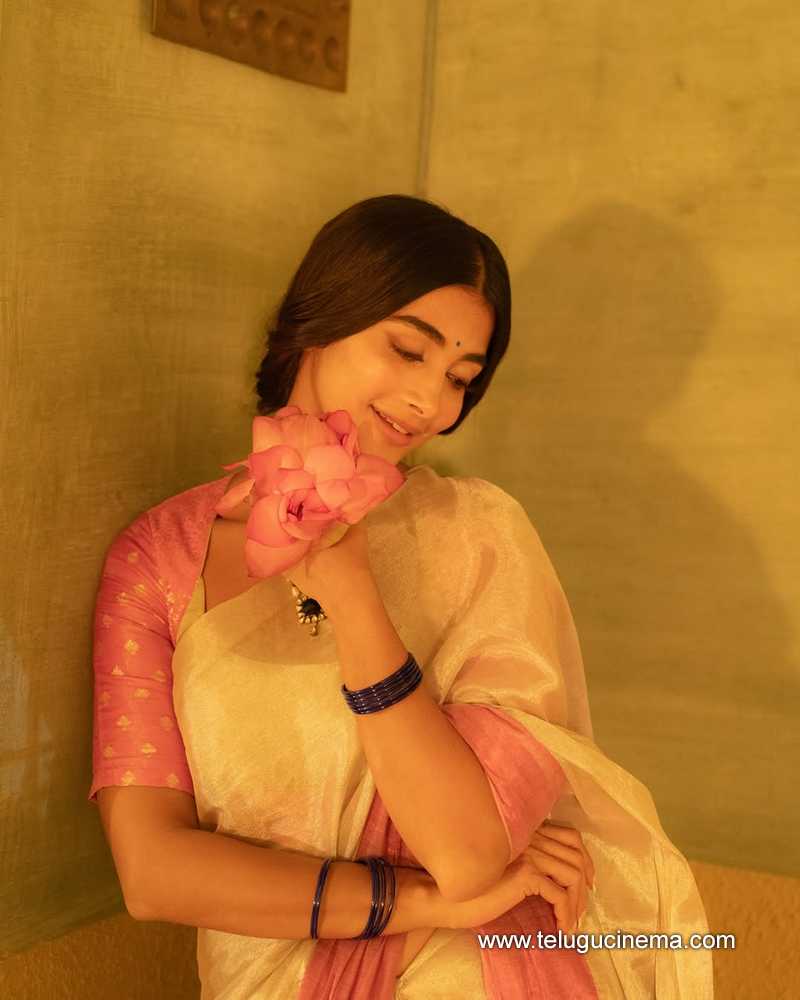 pooja stills 30042502