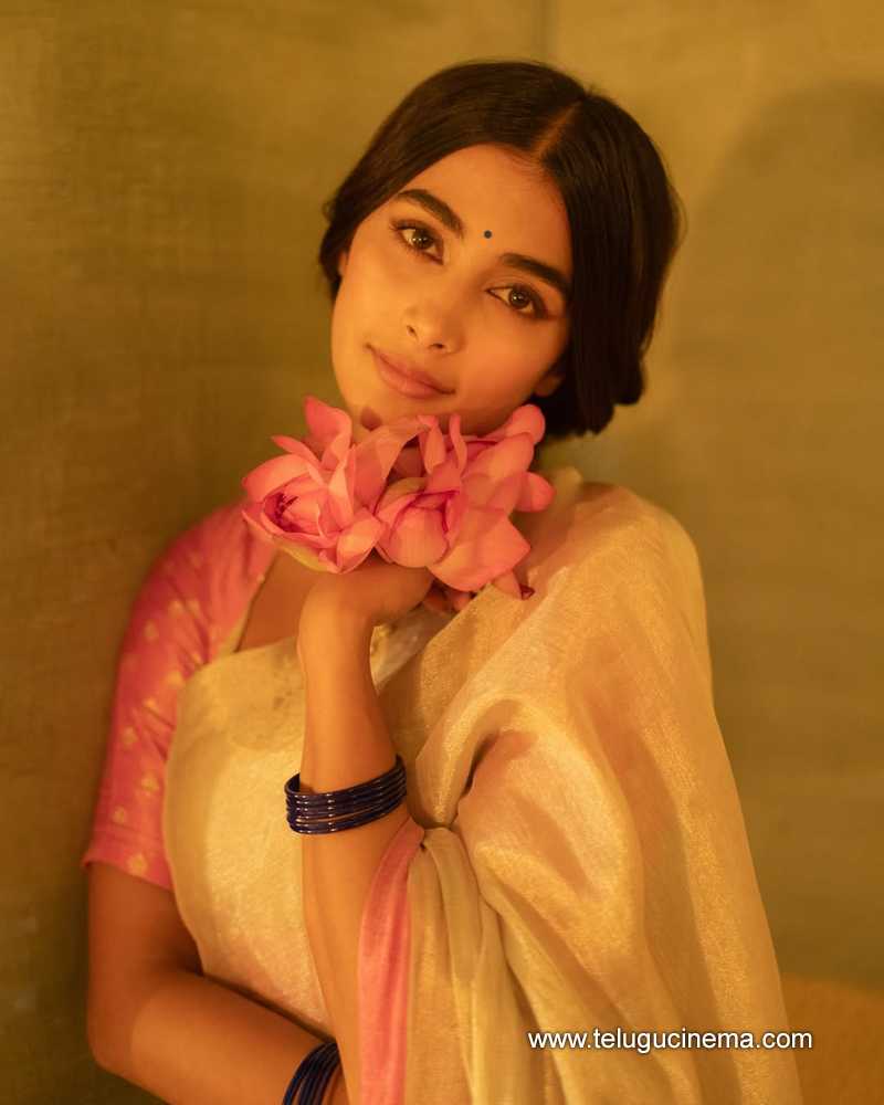 pooja stills 30042504