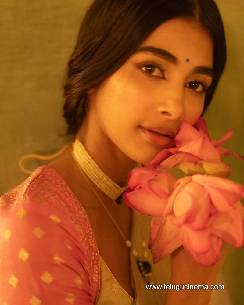 pooja stills 30042505