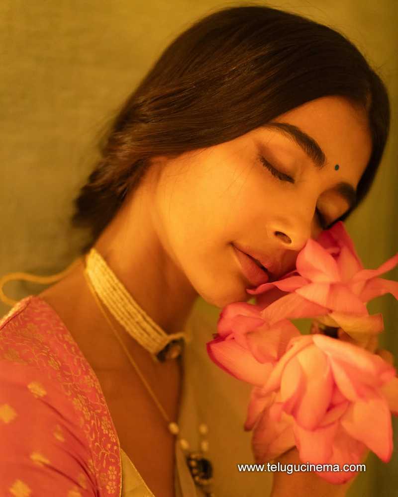 pooja stills 30042508