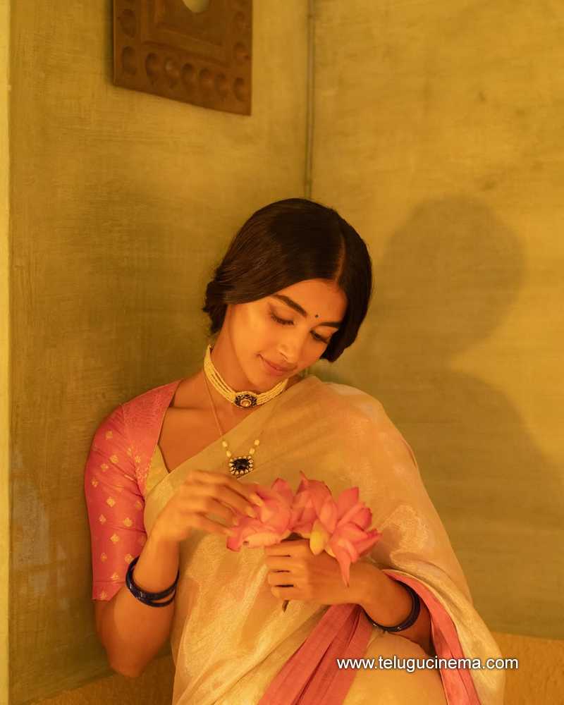 pooja stills 30042511