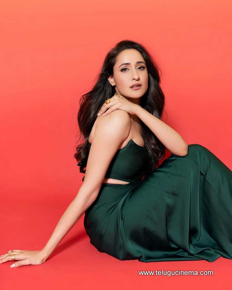 pragya stills 26042503