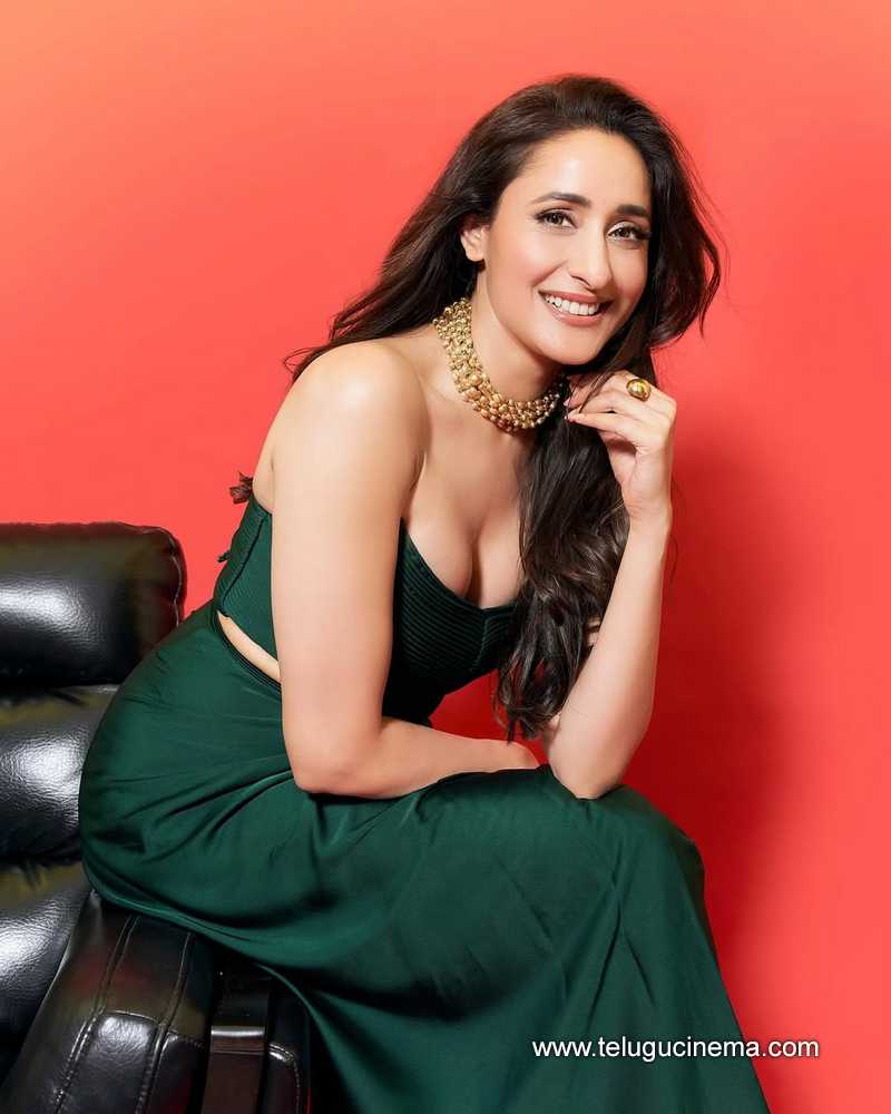 pragya stills 26042506