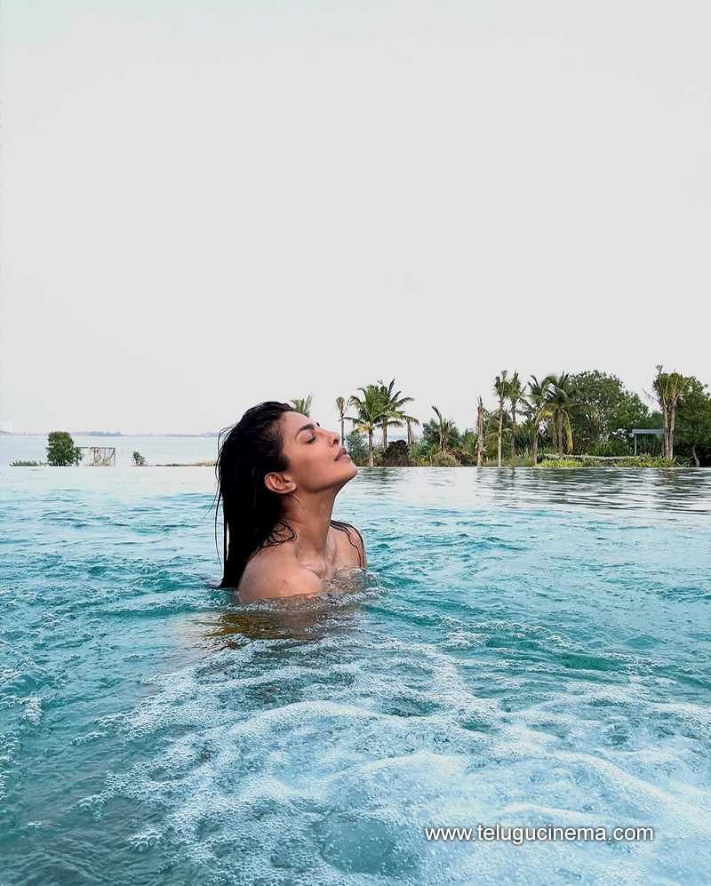 priyanka stills 25042502