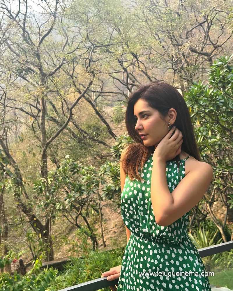 raashi stills 18042502