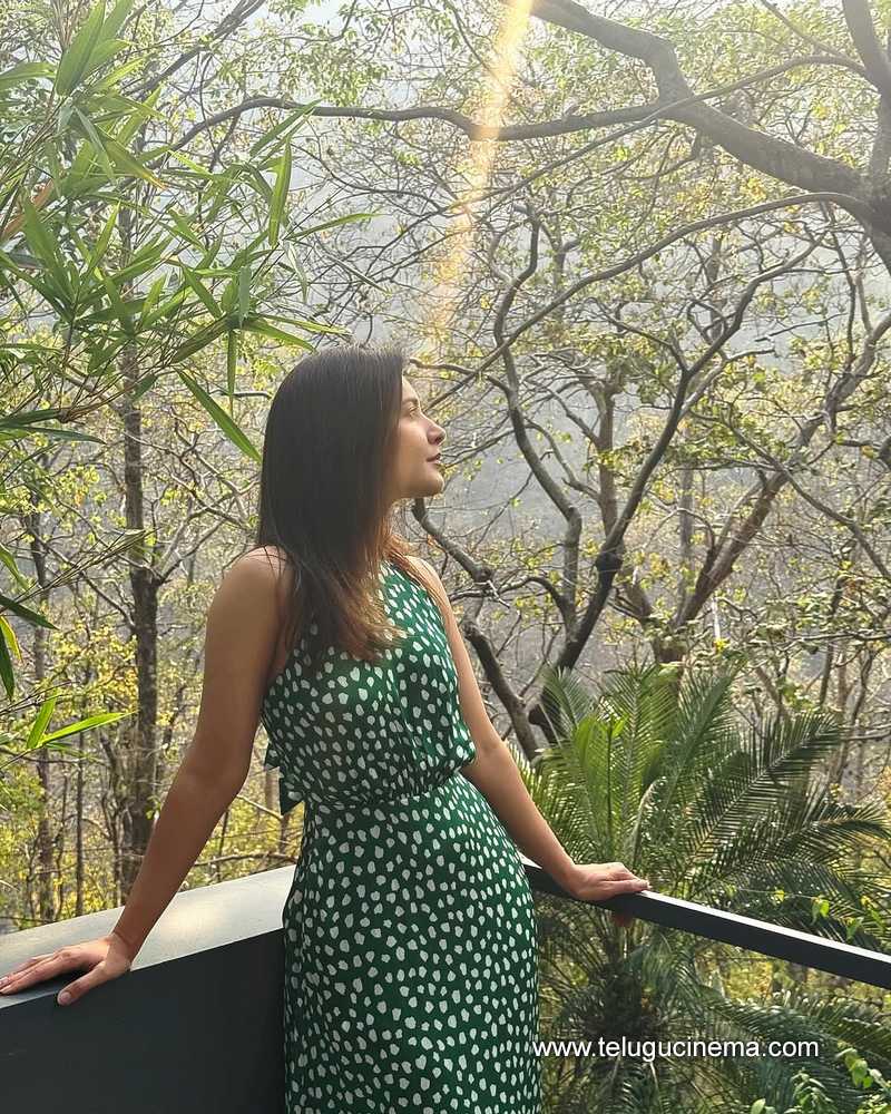 raashi stills 18042503