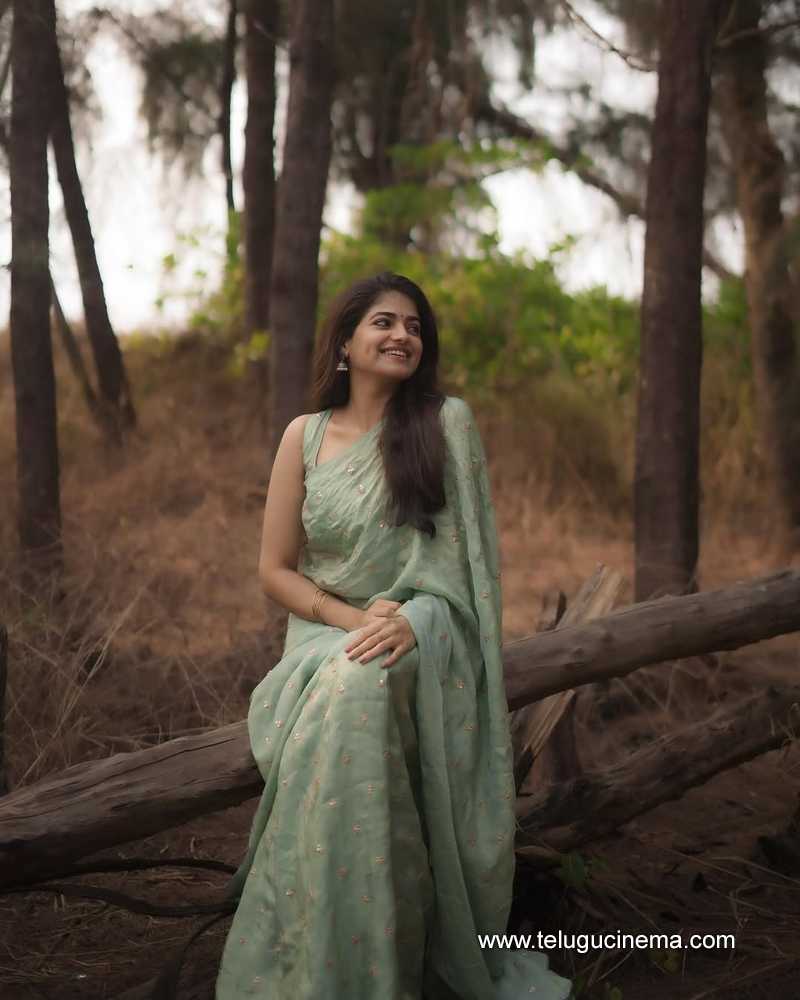 sangeerthana stills 11042503