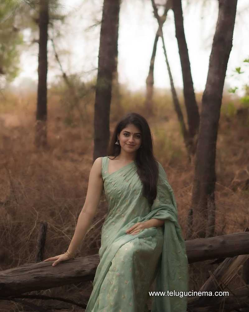 sangeerthana stills 11042509
