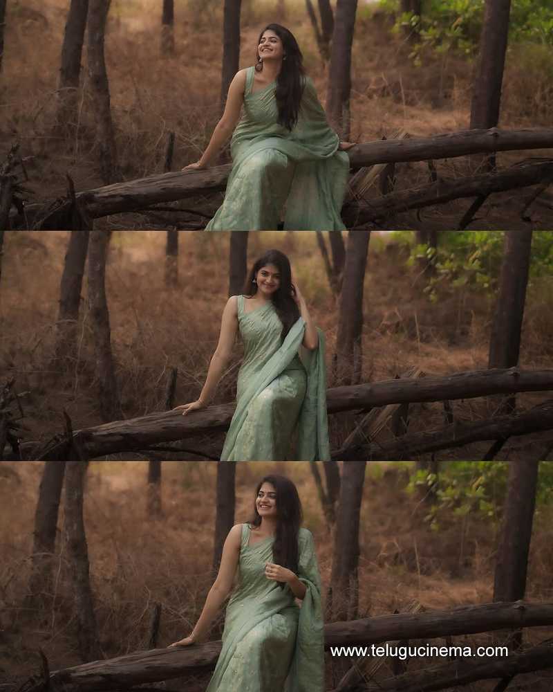 sangeerthana stills 11042510