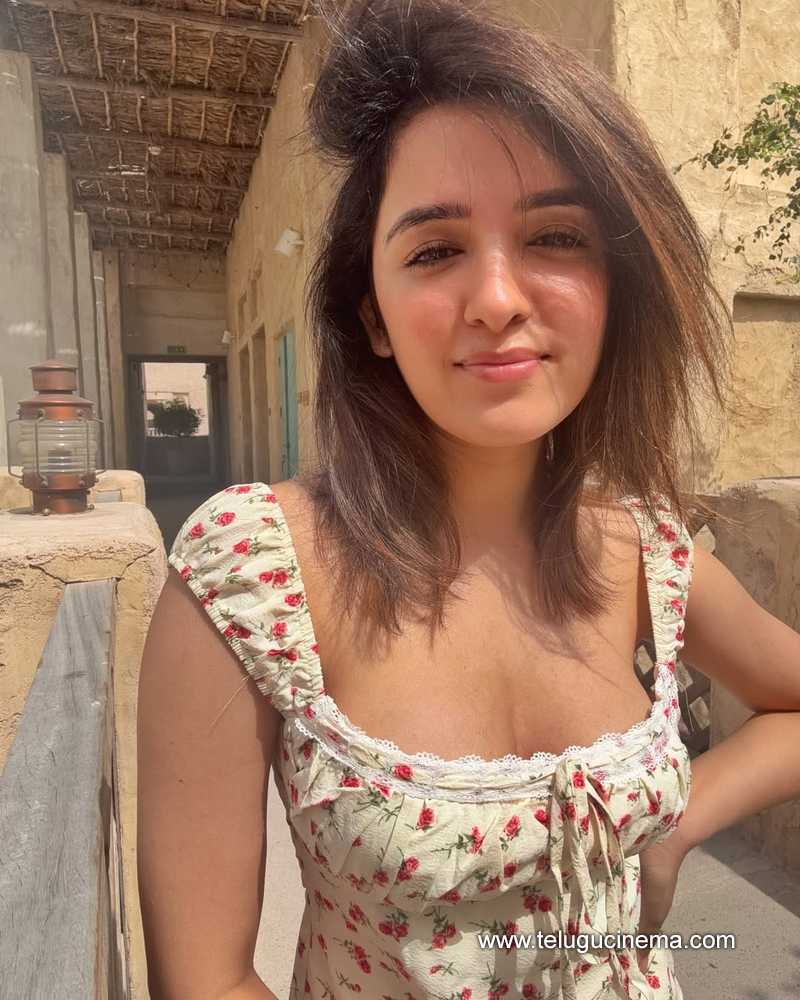 shirly stills 24042503