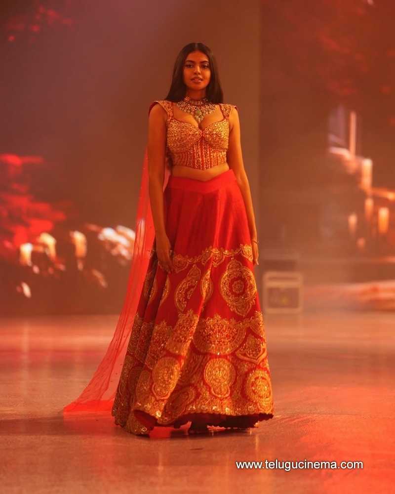shivani stills 15042504