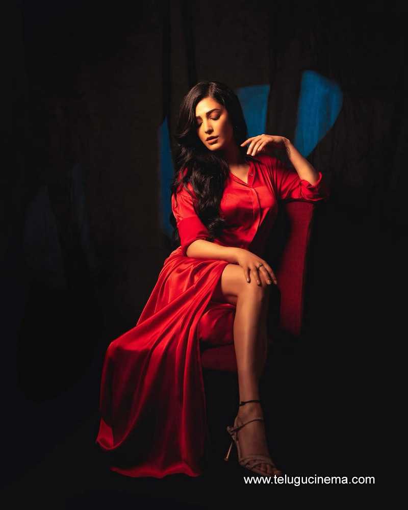 shrutihasan stills 07042502