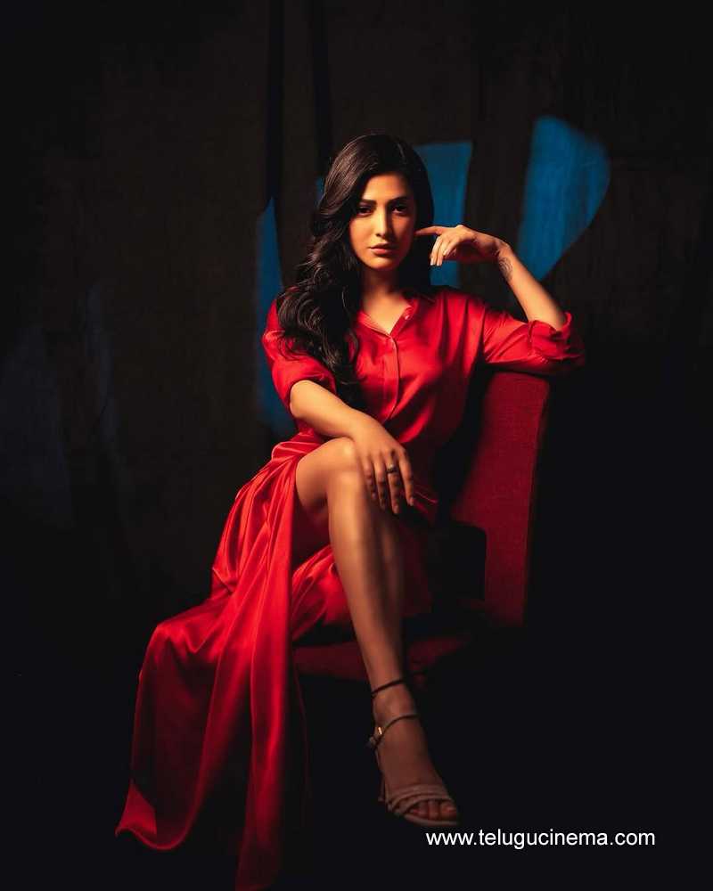 shrutihasan stills 07042504