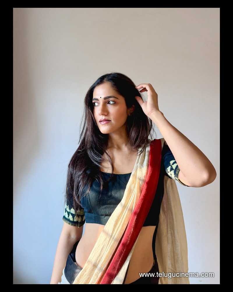 simran stills 11042502