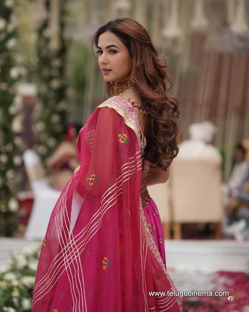 sonal stills 07042505