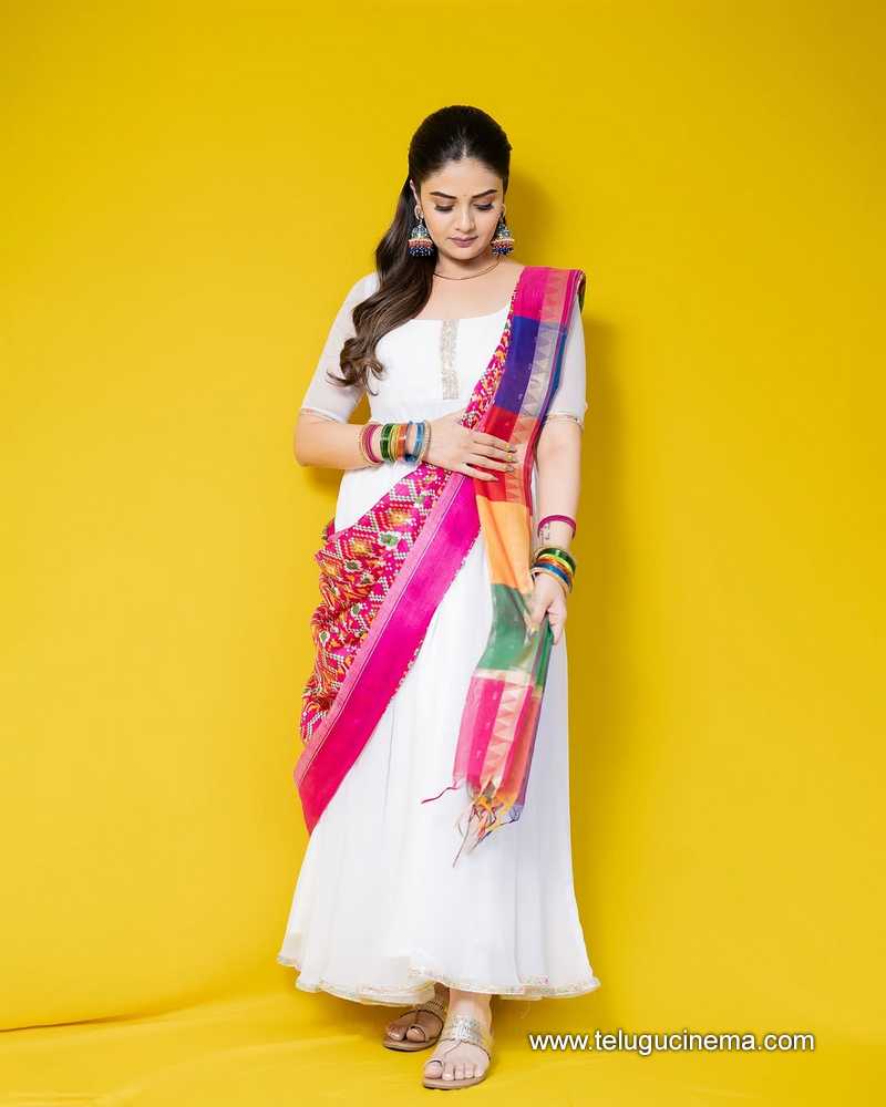 sreemukhi stills 11042503