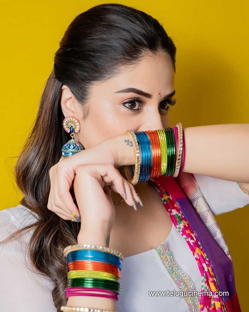 sreemukhi stills 11042509