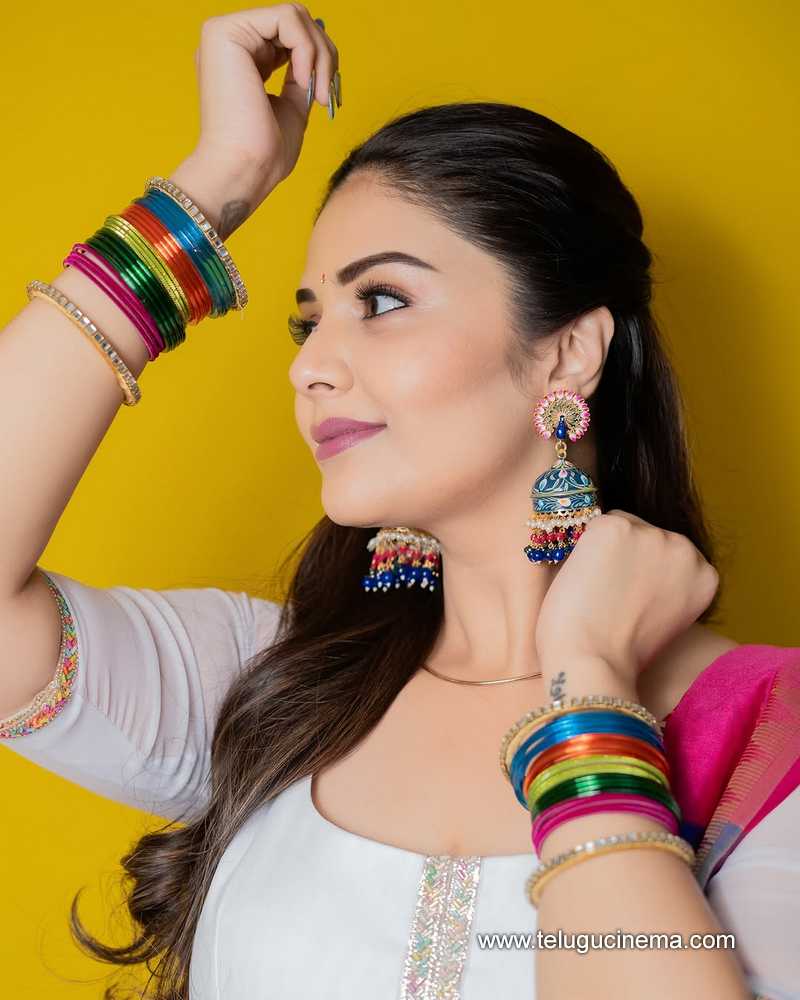 sreemukhi stills 11042510