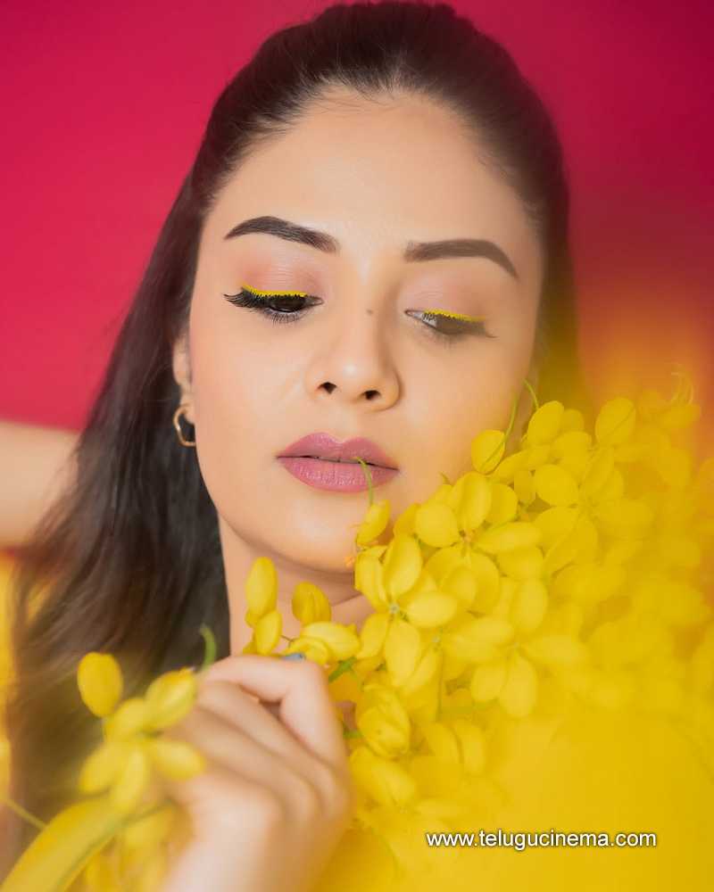 sreemukhi stills 22042504